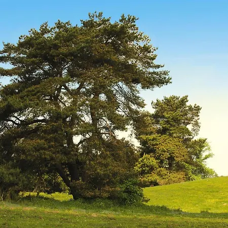 Am Garder Inselblick בית נופש *