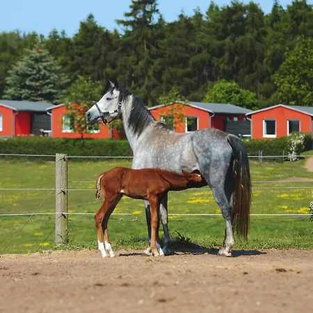 בית נופש Am Garder Inselblick *