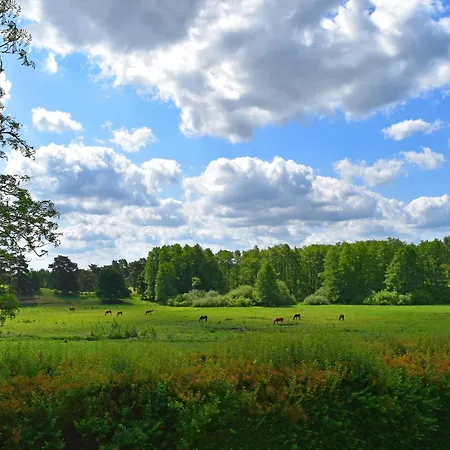 Am Garder Inselblick בית נופש Lohmen (Mecklenburg-Vorpommern)