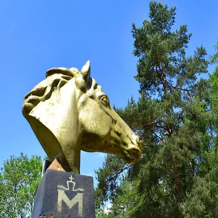 Am Garder Inselblick Lohmen (Mecklenburg-Vorpommern)