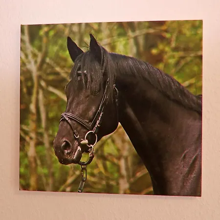 בית נופש Am Garder Inselblick
